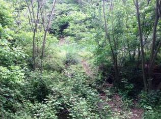 Marion Branch Rd, Elizabethton, TN 37643