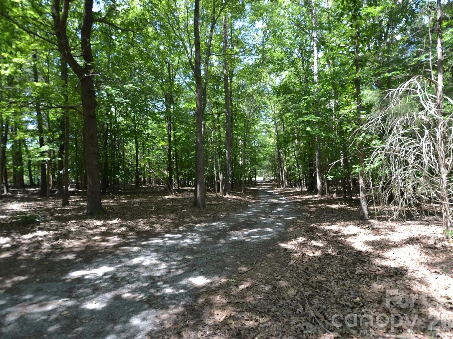 3 bed, 2.5 bath, 2003 sqft, $2,500 — Photo 4