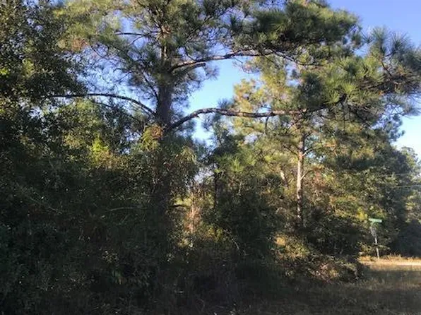 0 Fairview Rd #L1-blk90, Alford, FL 32420