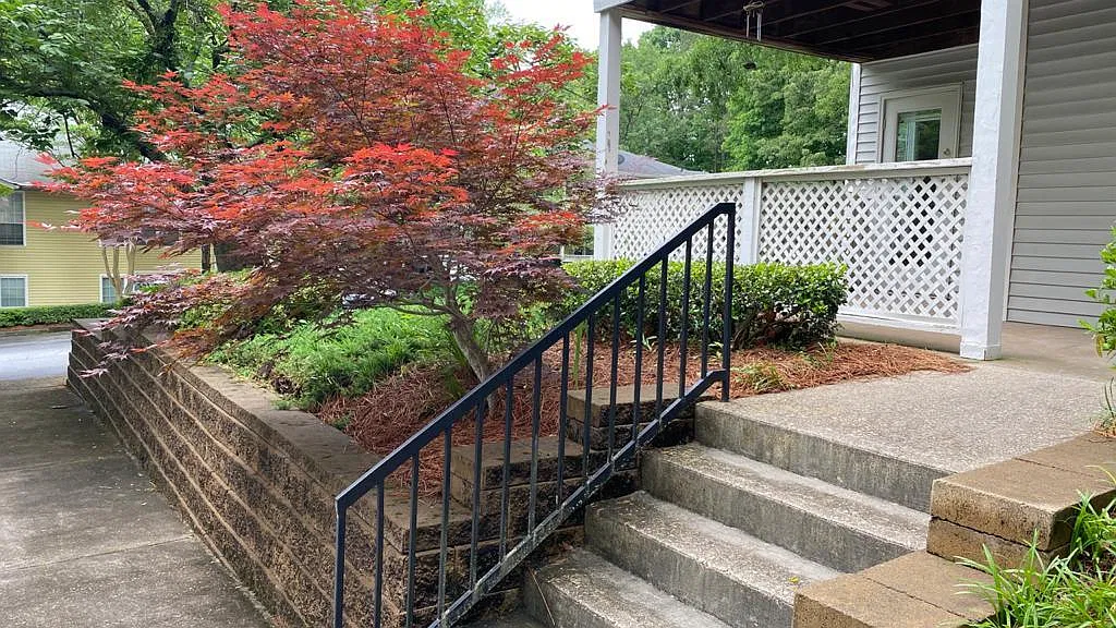 6816 Glenridge Dr — Photo 4