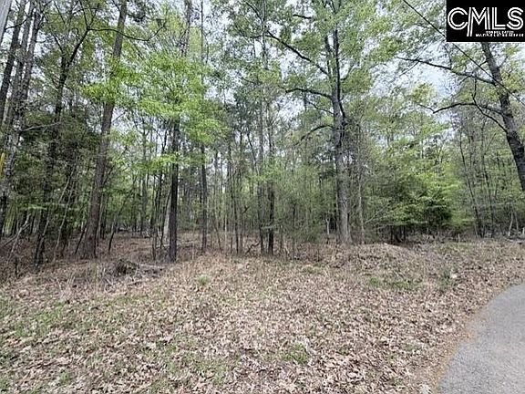 4th image of 00 Kennerly Rd