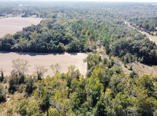 19200 Blueberry Ln, Silverhill, AL 36576
