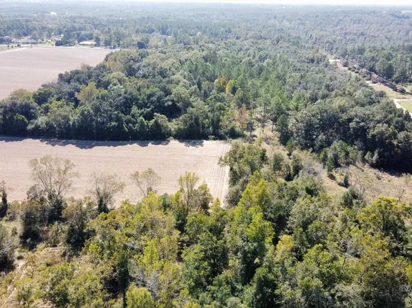 19200 Blueberry Ln, Silverhill, AL 36576