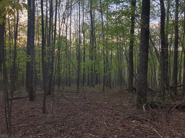 0 Breezy Hollow Trl, Cana, VA 24317
