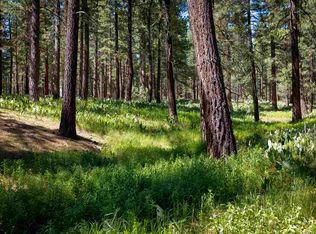 5020 Grizzly Rd, Portola, CA 96122