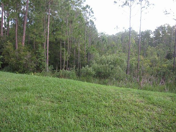 Backyard-Conservation Area