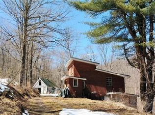 145 Norton Rd, Schenevus, NY 12155