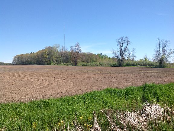 Woods, not the field.