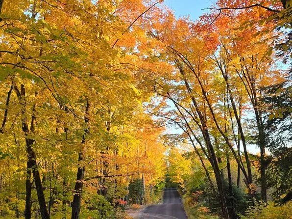 Steve Javenkowski Rd, Three Lakes, WI 54562