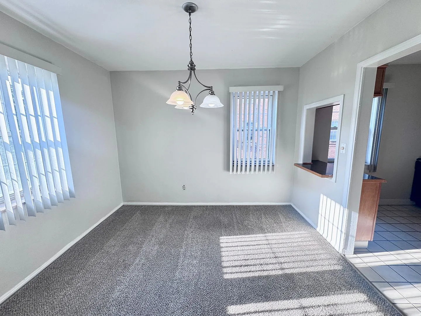 Marchmont Terrace Apartments — Photo 4