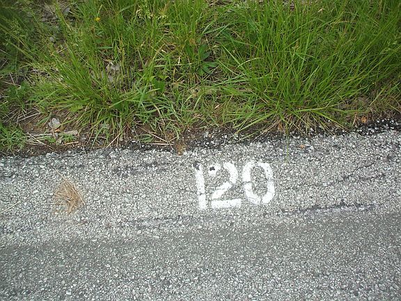 Street Number