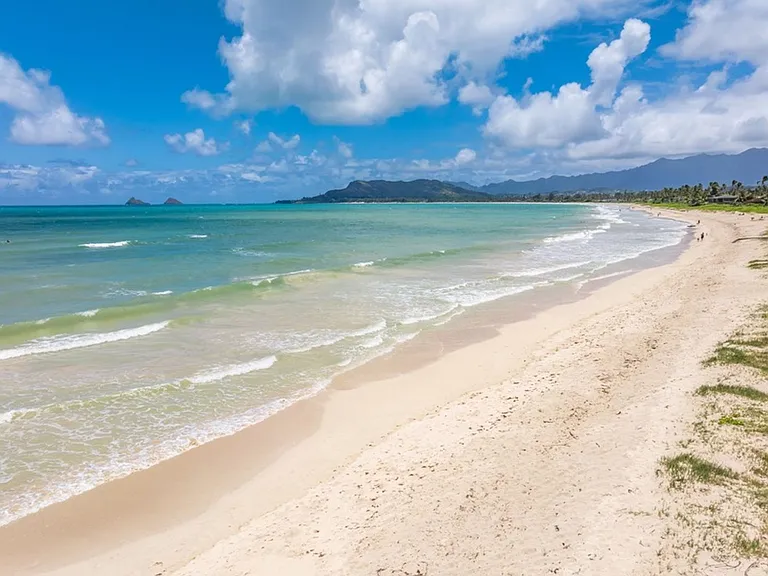 145 Kaimoani Way — Photo 46