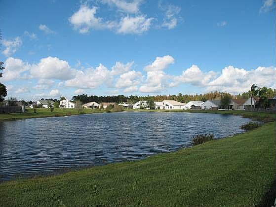 Pond view