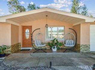 226 Maple Ave, Palm Harbor, FL 34684