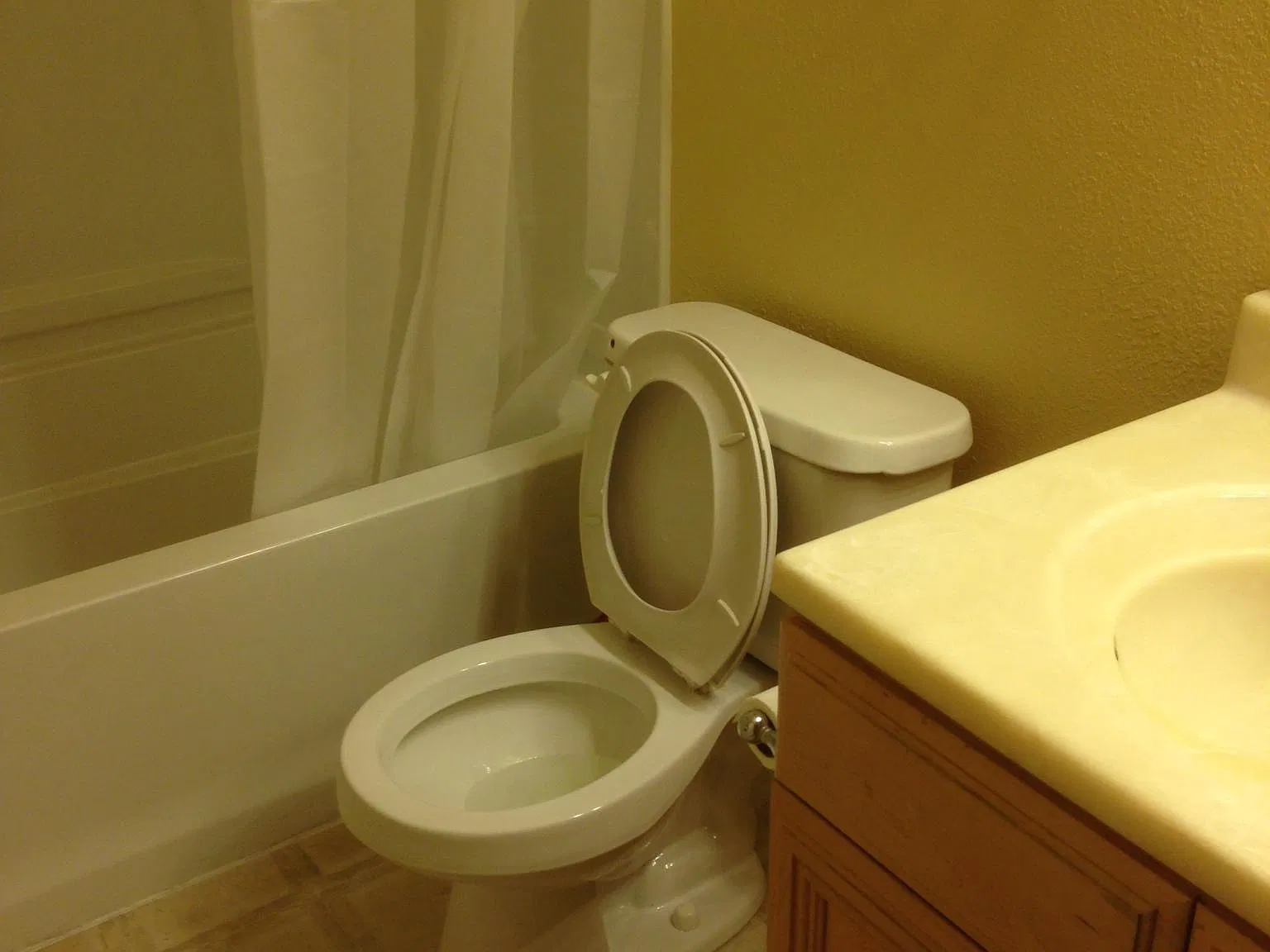 3 bed, 1186 sqft, $2,950 — Photo 3
