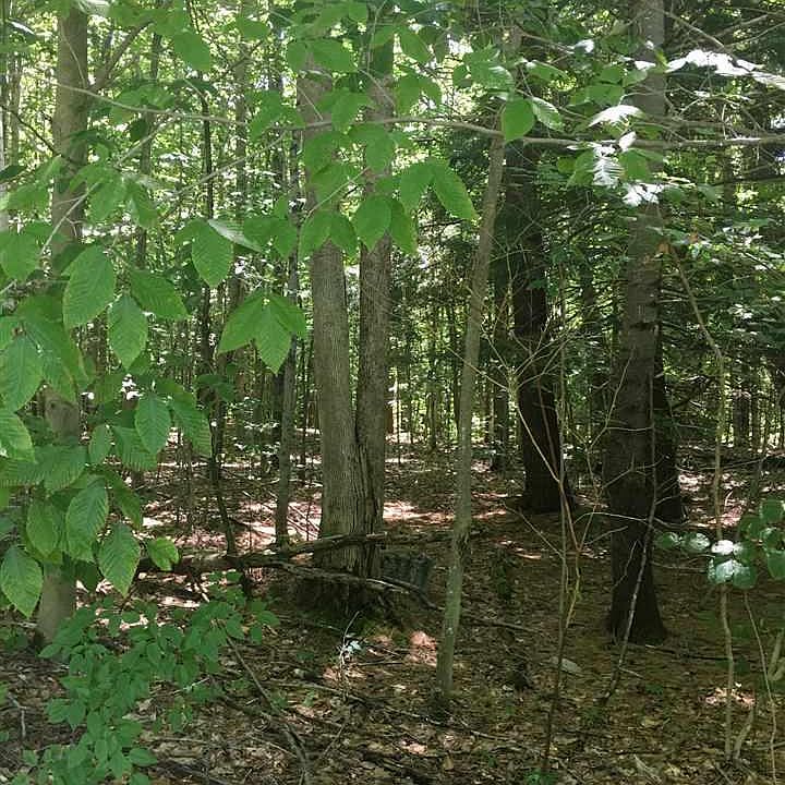 2nd image of 44 Lincoln Mountain Rd