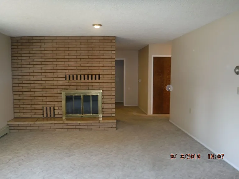 8731 Haggerty Ln — Photo 6