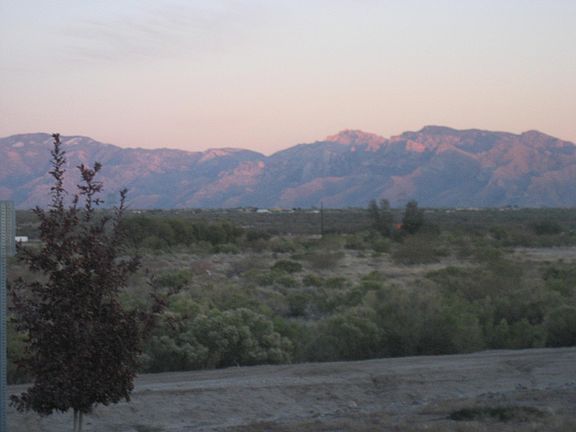 Backyard View