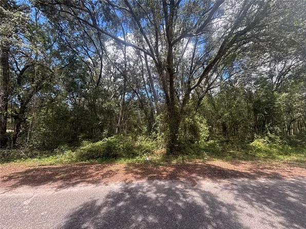 56 SE Fisher Lane Ct Lot 17, Ocklawaha, FL 32179