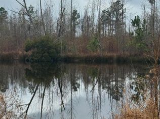 2104 Us Highway 51, Bogue Chitto, MS 39629