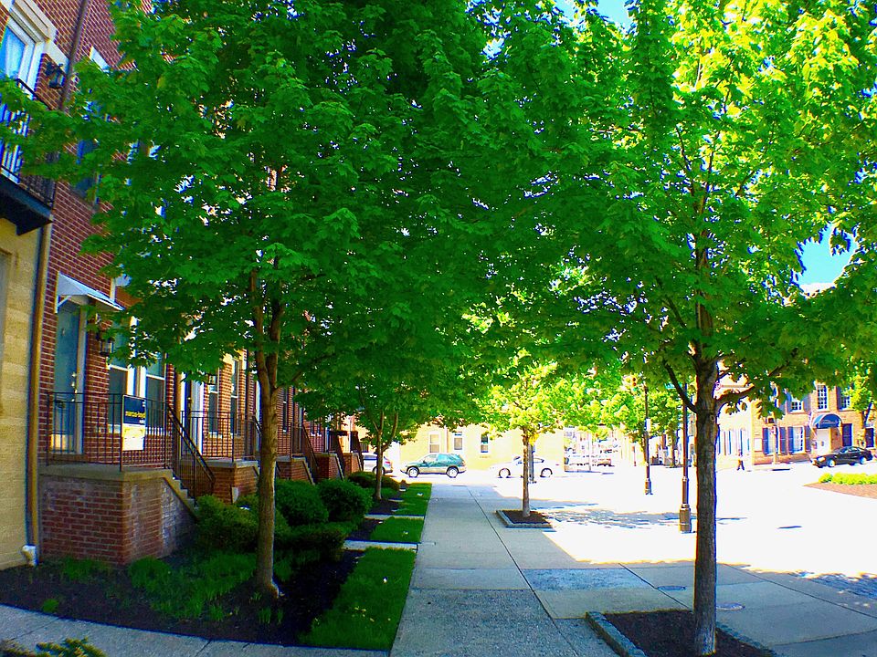 Spring in Beautiful Baltimore