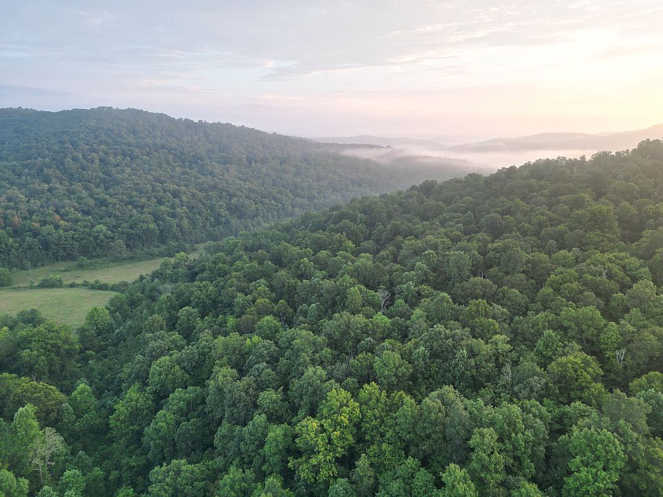 19th image of 597 Lost Hollow Rd