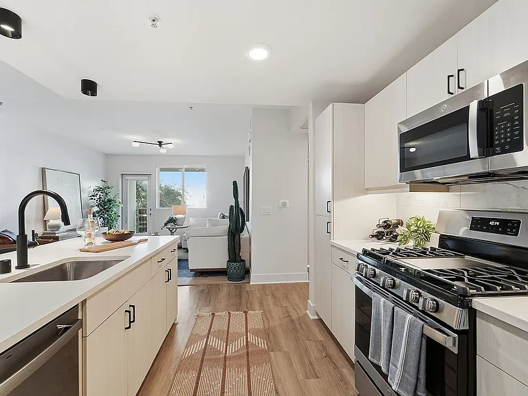 Modern kitchens with sleek finishes