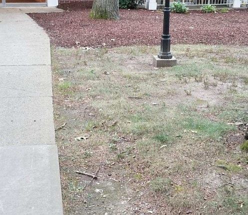 3rd image of 65 Greentree Ln APT 14