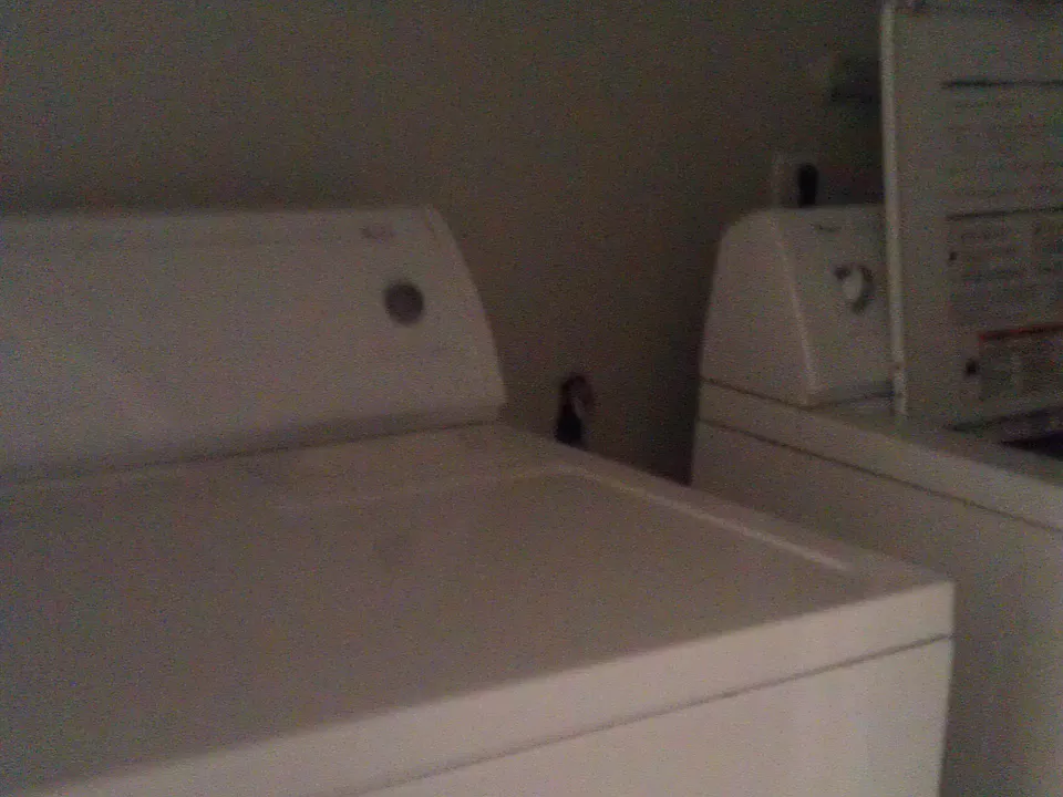 IMAG1681_11262014
