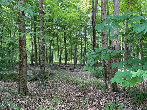 Timbertop Trl, Newfoundland, PA 18445