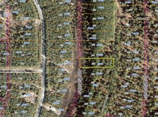 48214 S Dolly Varden Dr, Talkeetna, AK 99676