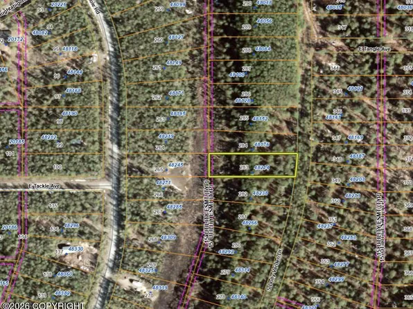 48214 S Dolly Varden Dr, Talkeetna, AK 99676