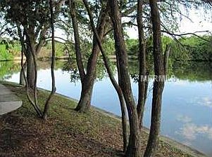 2nd image of 5758 Baywater Dr
