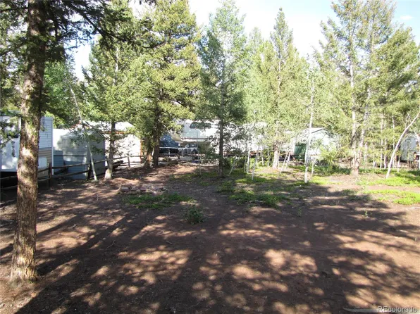 84 Tie Way, Hartsel, CO 80449