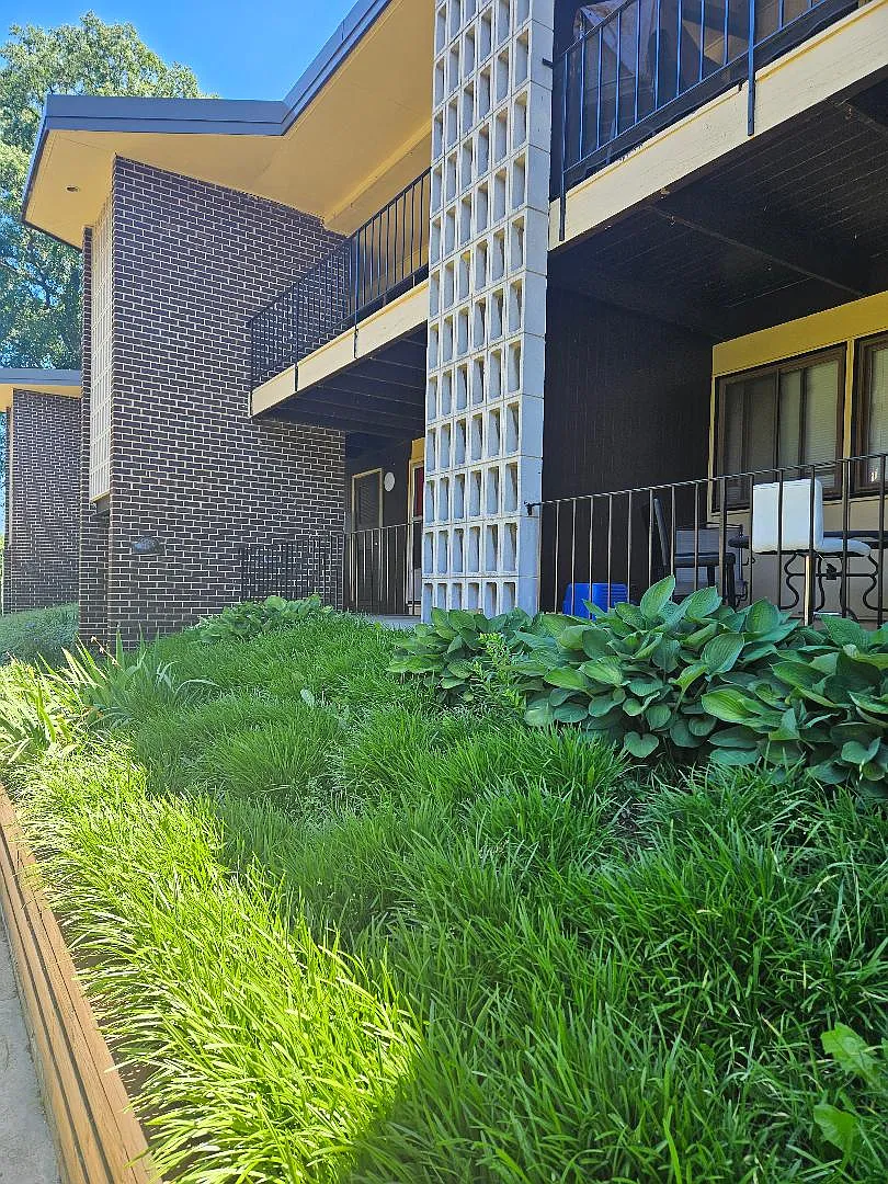 2 bed, 950 sqft, $1,800 — Photo 2