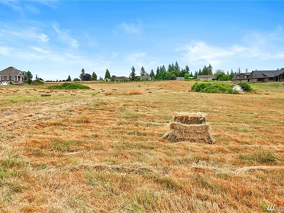 Looking up the lot from the lower property line.