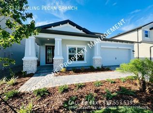 33176 Amling Pecan Br, Wesley Chapel, FL 33545