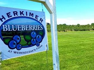1080 Steuben Hill Rd, Herkimer, NY 13350