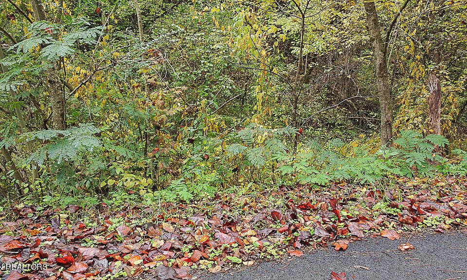 1st image of LOT Township Road 1 Flat Branch Rd