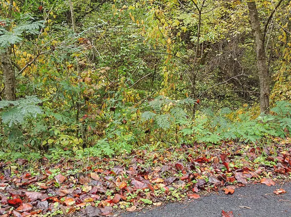 LOT Township Road 1 Flat Branch Rd, Gatlinburg, TN 37738