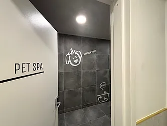 Rented by Dream Space Realty