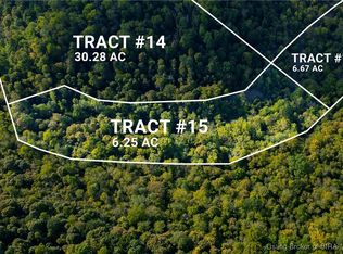 Tract 15 State Road 156, Patriot, IN 47038