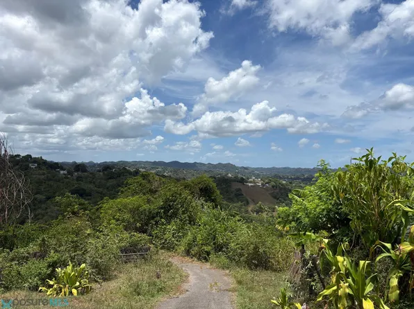 Km 1.2 Pr #803, San Sebastian, PR 00685