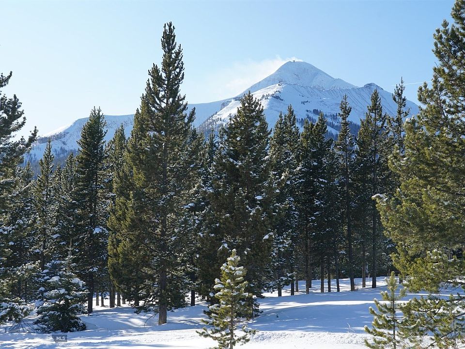 1st image of Tbd White Grass