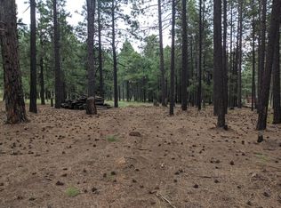 2853 Wildcat Rd, Forest Lakes, AZ 85931
