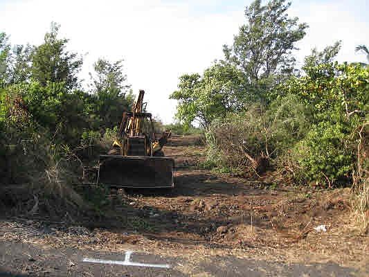 1st image of Kukuna St Lot 57