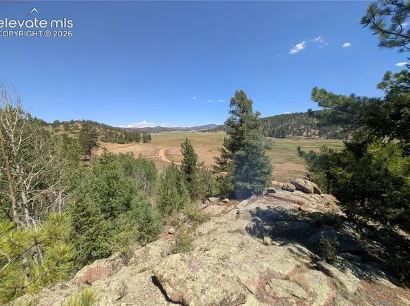 313 Elliott Dr, Florissant, CO 80816