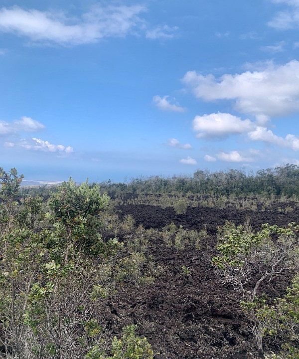 2nd image of Paradise Pkwy Lot 21