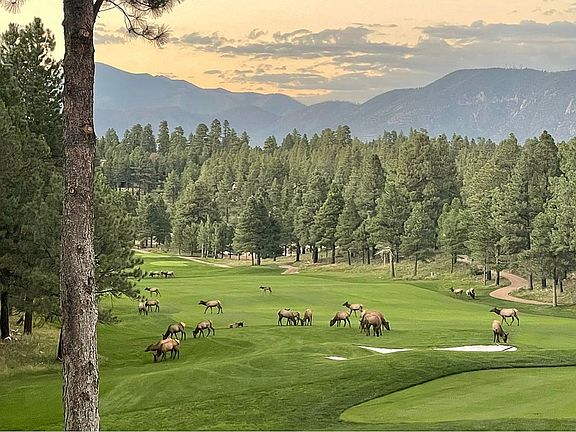 View off Great room Deck