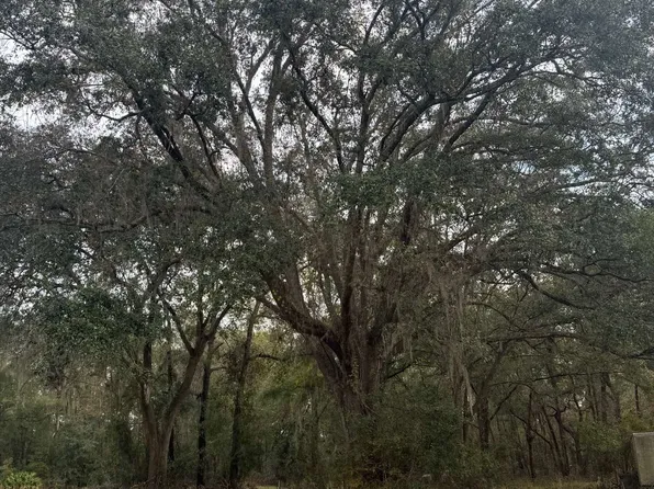 0 SW McGriff Lane & Kaman, Lake City, FL 32024